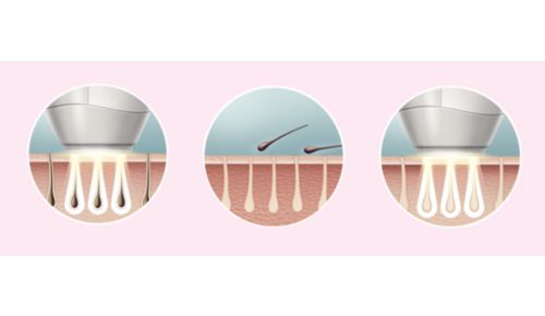 Pelle liscia ogni giorno