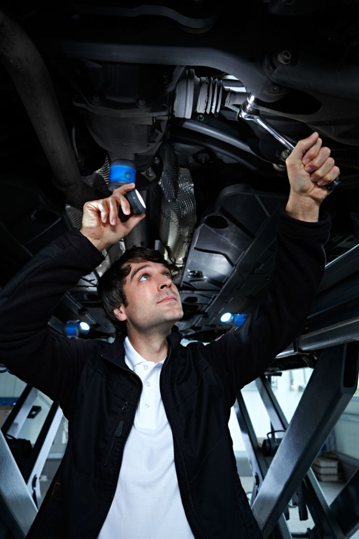 Philips Professional