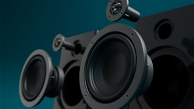 Tuned to the Philips Fidelio sound signature