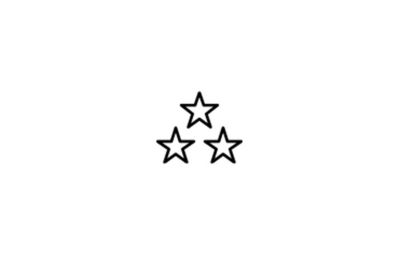 Reputation award icon
