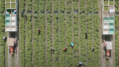 Farm Worker Family Health Program