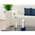 Dê mais cores às suas conversas