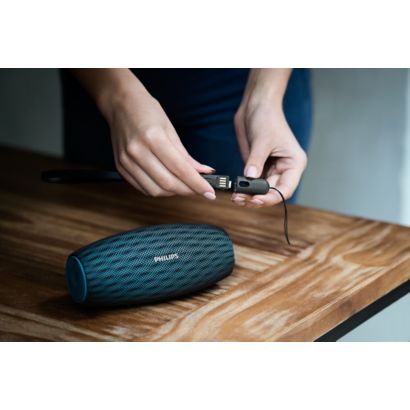 Mūzika nekad nebeidzas