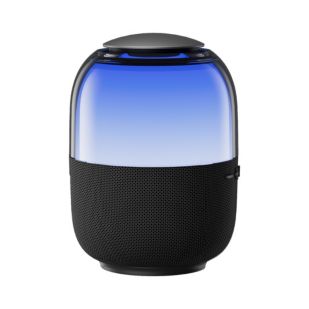 Portable speaker with light show