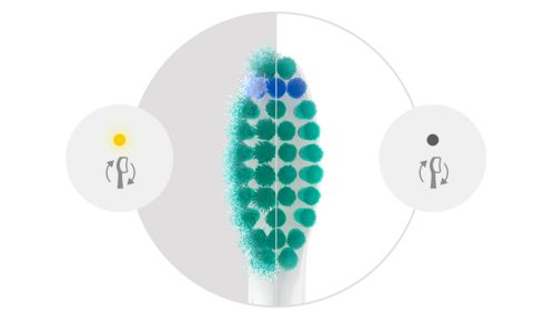 Sigue cepillándote de forma óptima con los recordatorios de BrushSync