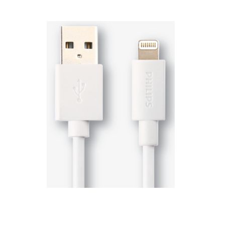 SWR1004/93  USB-A 至 Lightning
