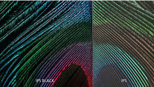 IPS Black: For detailed color expression with 4K clarity