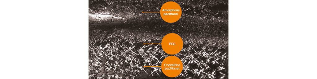 Sustained tissue Residency