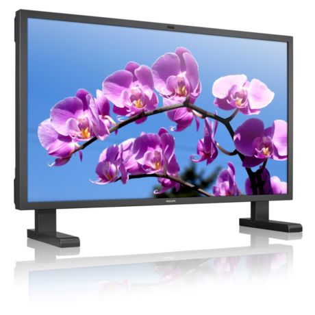 BDL6551V/00  BDL6551V LCD monitor