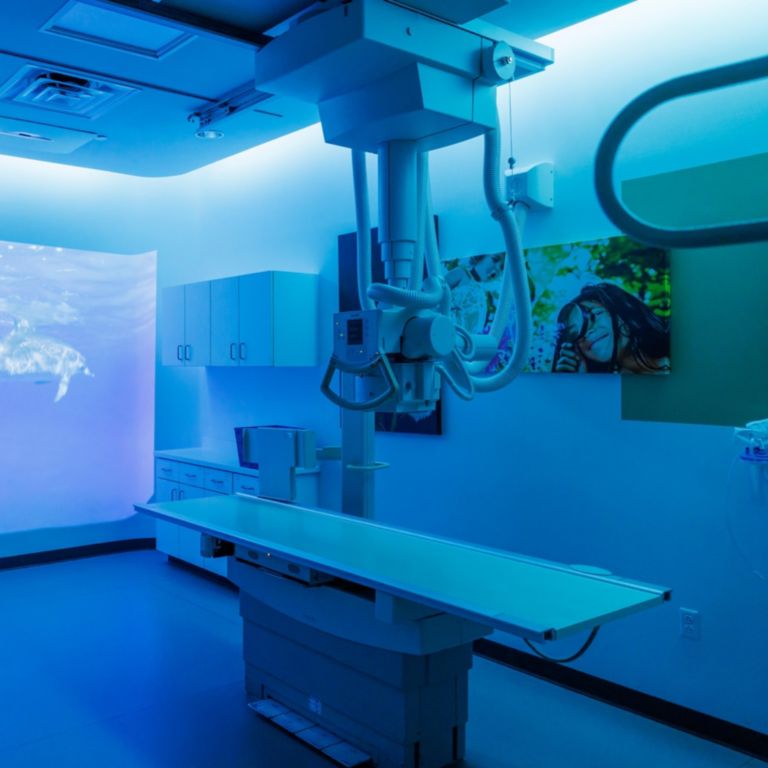 Ambient Experience theme ‘Oceans’ in X-Ray room at Children’s of Alabama