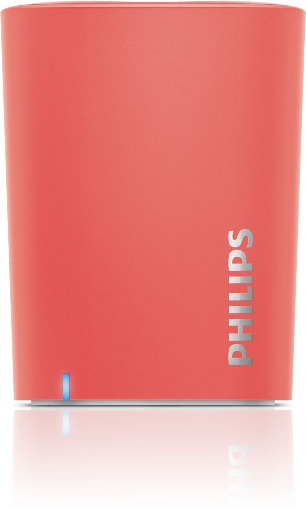 wireless portable speaker