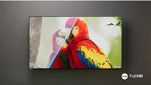 Philips Full HD LED TV. Vibrant viewing.