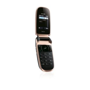 CT9A9HGRY Xenium