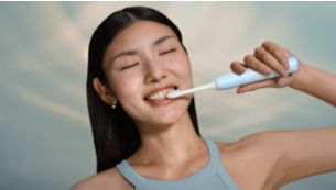 Guided brushing sessions