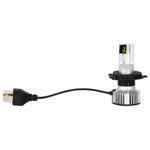 Destácate entre la multitud