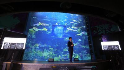 Philips neurovascular event speaker Kuniyasu Niizuma
