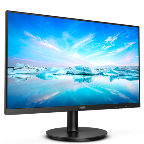221V8/57  221V8 LCD monitor