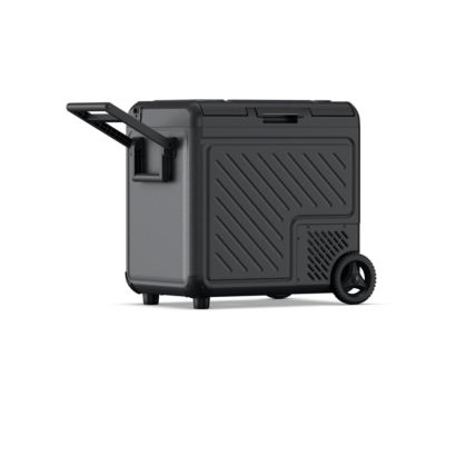 Philips Car thermal box