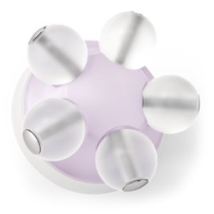 VisaPure Advanced 進化升級潔膚儀配件刷頭