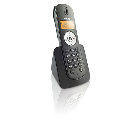 VOIP2510B/37  Internet/DECT phone