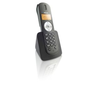 Internet/DECT phone