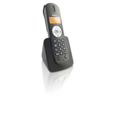 Internet/DECT phone
