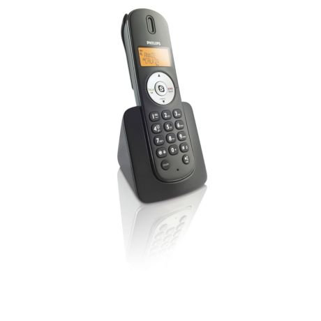 VOIP2510B/37  Internet/DECT phone
