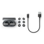 Ieauši, kuriem patīk sociāla vide