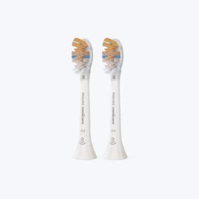 Two brush heads
