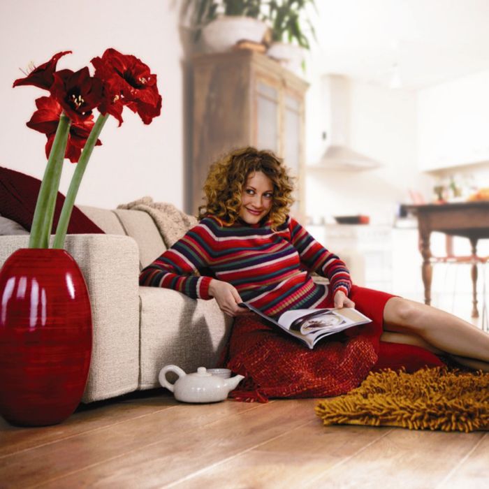 Handheld vacuum cleaner FC6048/01 | Philips