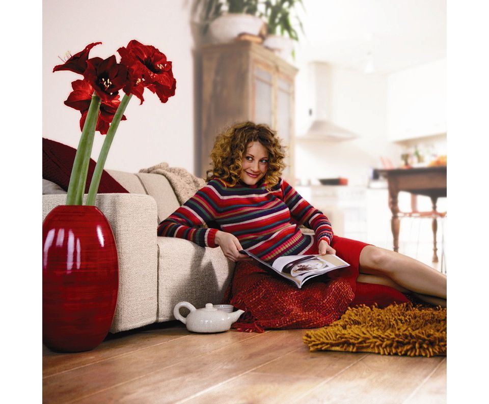 Handheld vacuum cleaner FC6048/01 | Philips