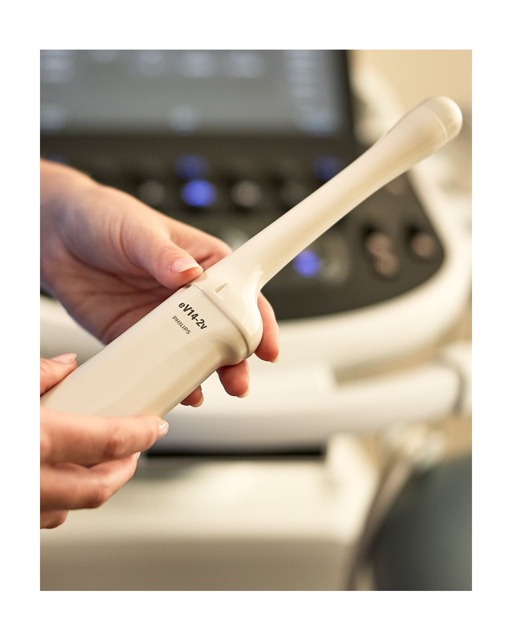  Clinician holding eV14-2v transducer