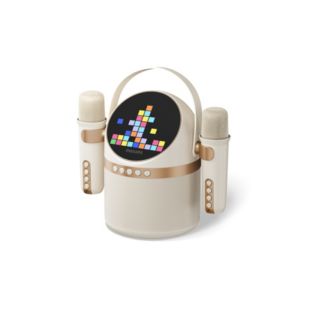 TAS2509WT Wireless speaker
