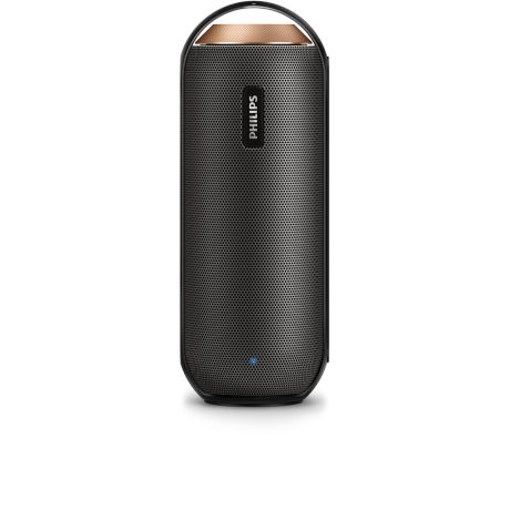 BT6050B/12  Enceinte portable sans fil