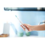 Everything you need for great oral health