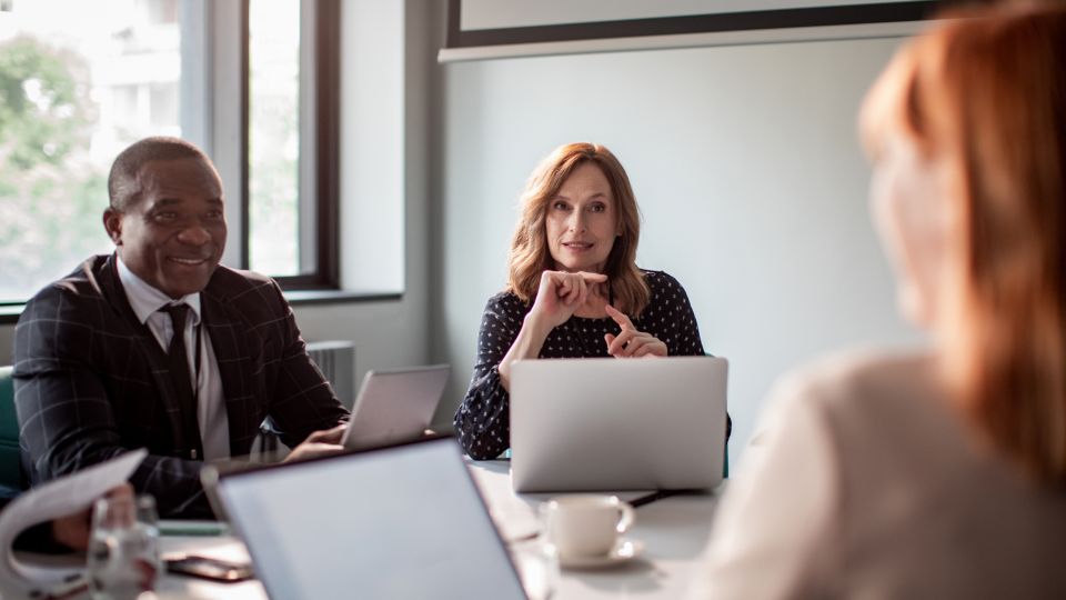 Group of professionals in a meeting