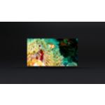 Neierobežota izklaide