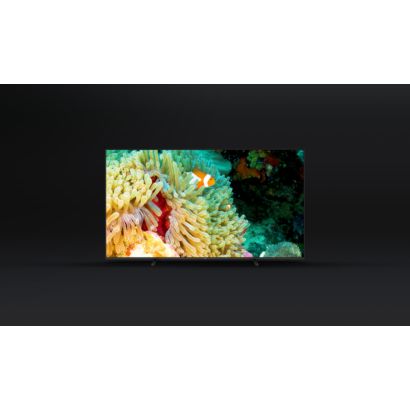 Neierobežota izklaide