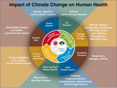 Impact of climate change on human health illustrated infographic