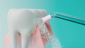 Cordless Power Flosser 3000