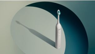 Guided brushing sessions