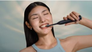 Guided brushing sessions