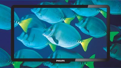 Technologie Digital Crystal Clear pro hloubku detailu a čistotu