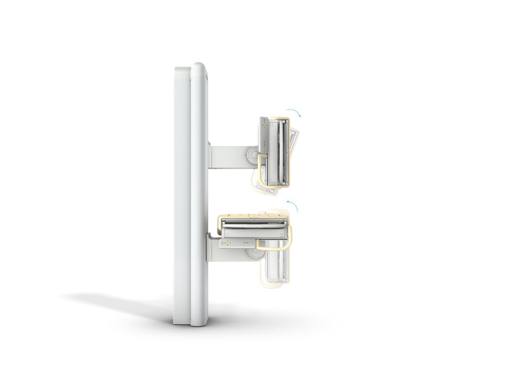 Product detail photograph