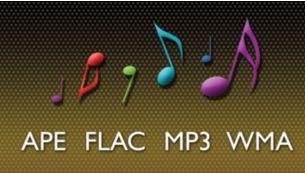 APE, FLAC, MP3 and WMA lossless code for precise sound