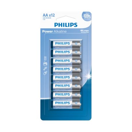 LR6P12B/40 Power Alkaline Battery