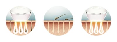 Disfrutá de una piel suave todos los días