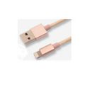 0.3 米 USB-A 转 Lightning 线缆