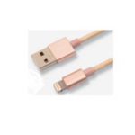 0.3 米 USB-A 转 Lightning 线缆