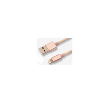 USB-A 转 Lightning